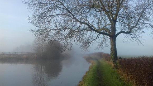 Misty Canal in December